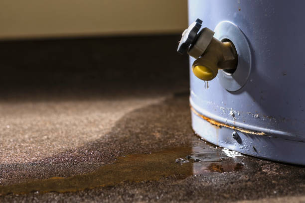 Best Carpet water damage restoration  in Tipton, MO