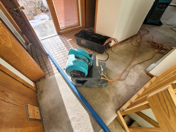 Reliable MO Water damage restoration Solutions