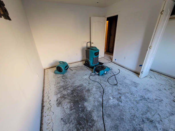 Best Water damage restoration near me  in Tipton, MO