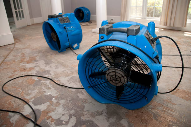 Best Water damage restoration near me  in Tipton, MO