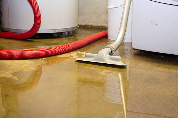 Best Flood restoration services  in Tipton, MO