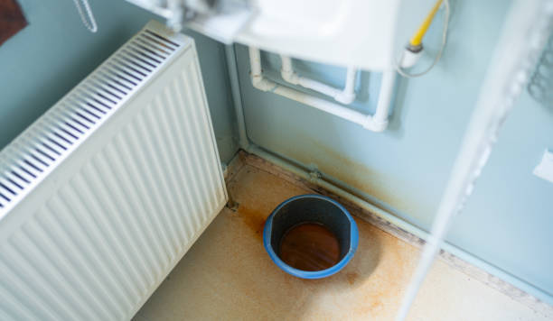 Best Water damage restoration mold remediation  in Tipton, MO