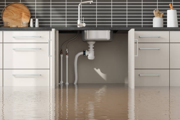 Best Fire Damage Restoration  in Tipton, MO