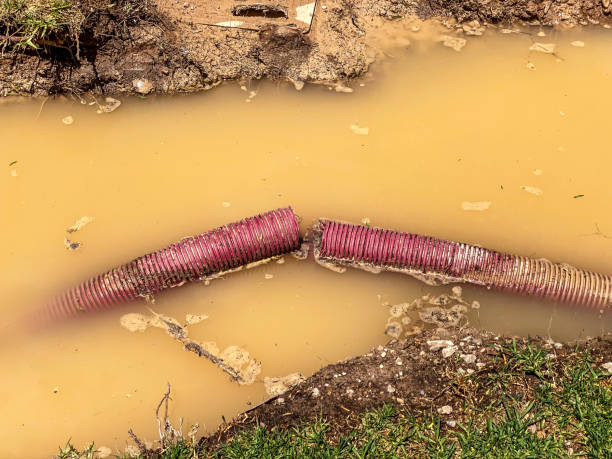 Best Water damage restoration process  in Tipton, MO