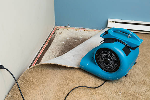 Best 24/7 water damage repair  in Tipton, MO
